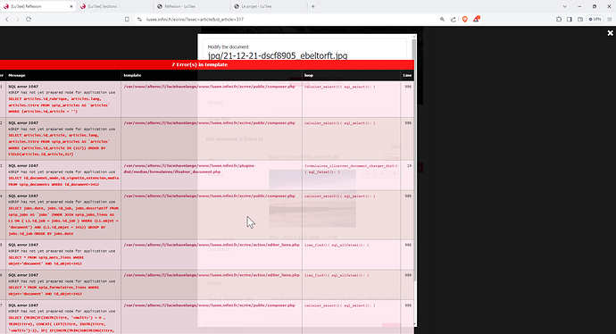 2024-07-15 erreur site infini spip