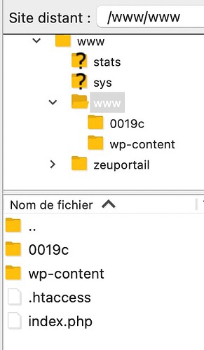 2025-08-28 at 14.37 fichiers et dossiers supects dans www>www