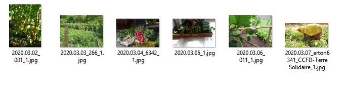 Image571.png