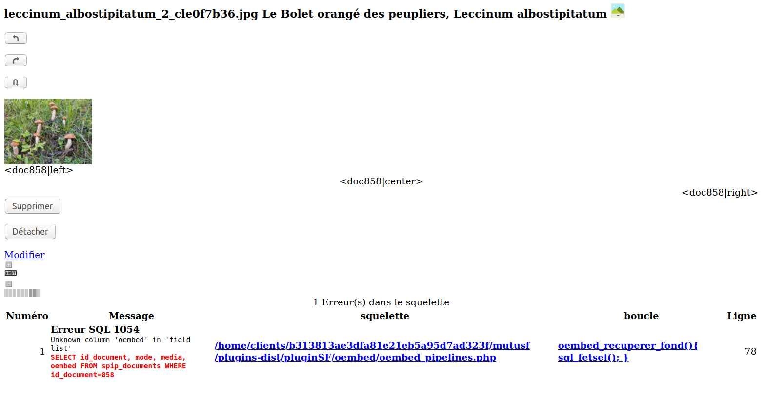 Capture d’écran de 2020-09-20 10-50-18.png