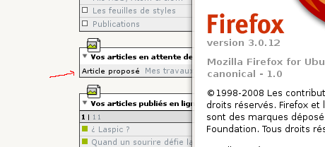 bug-puce-ff3012.png