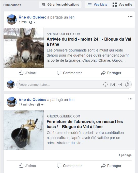 sans_titre_2-4.jpg