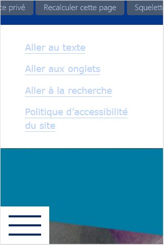 vers4.3