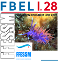 logo_fbel28-2020.png