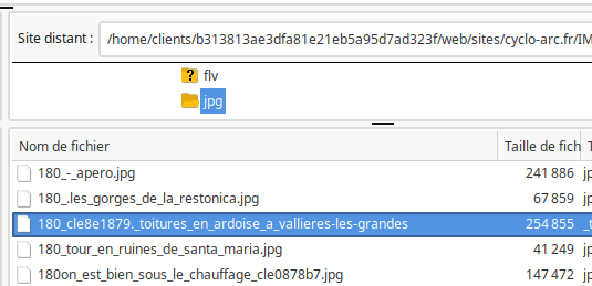 hjnoalicgcmaifoo.png